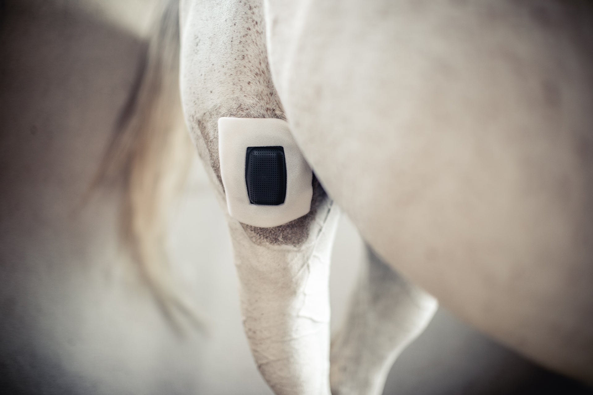 Rheva Kombo Wundschutz