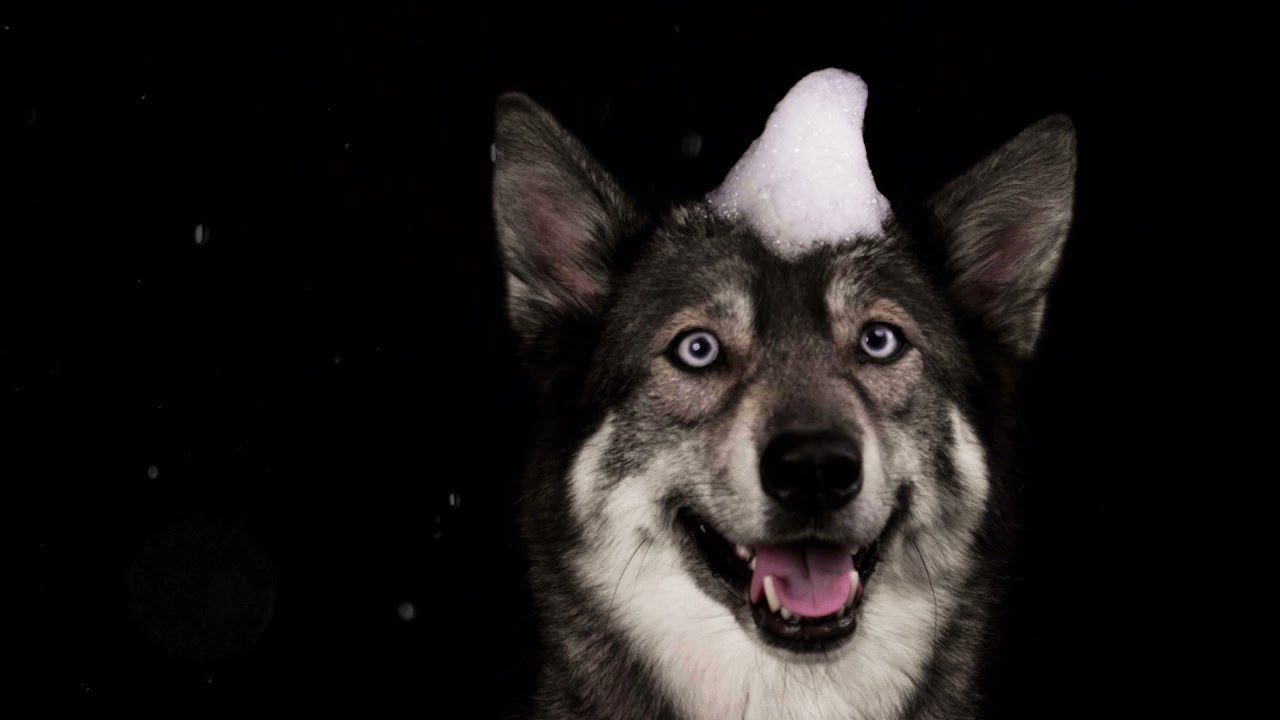 Groomers Secret Shampoo Bar Tea Tree