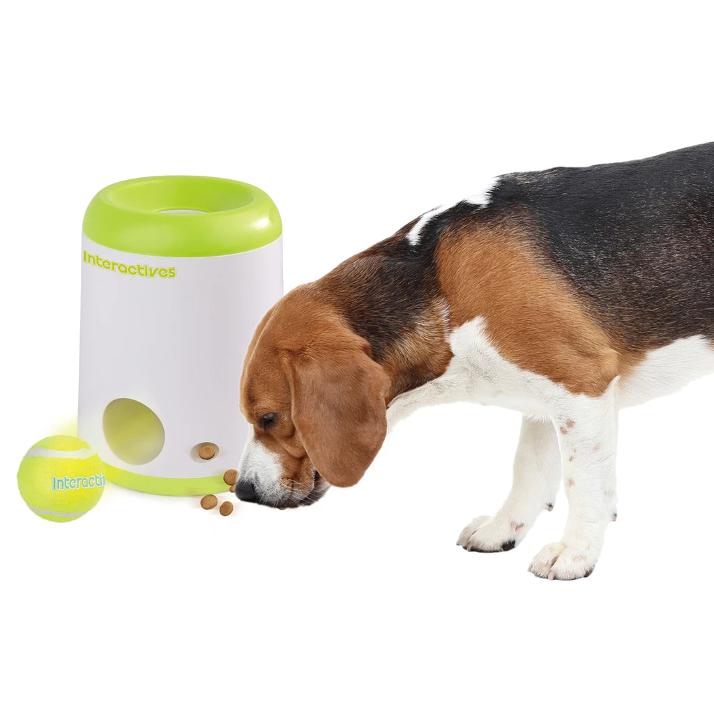AFP Interactive – Fetch’N'Treat