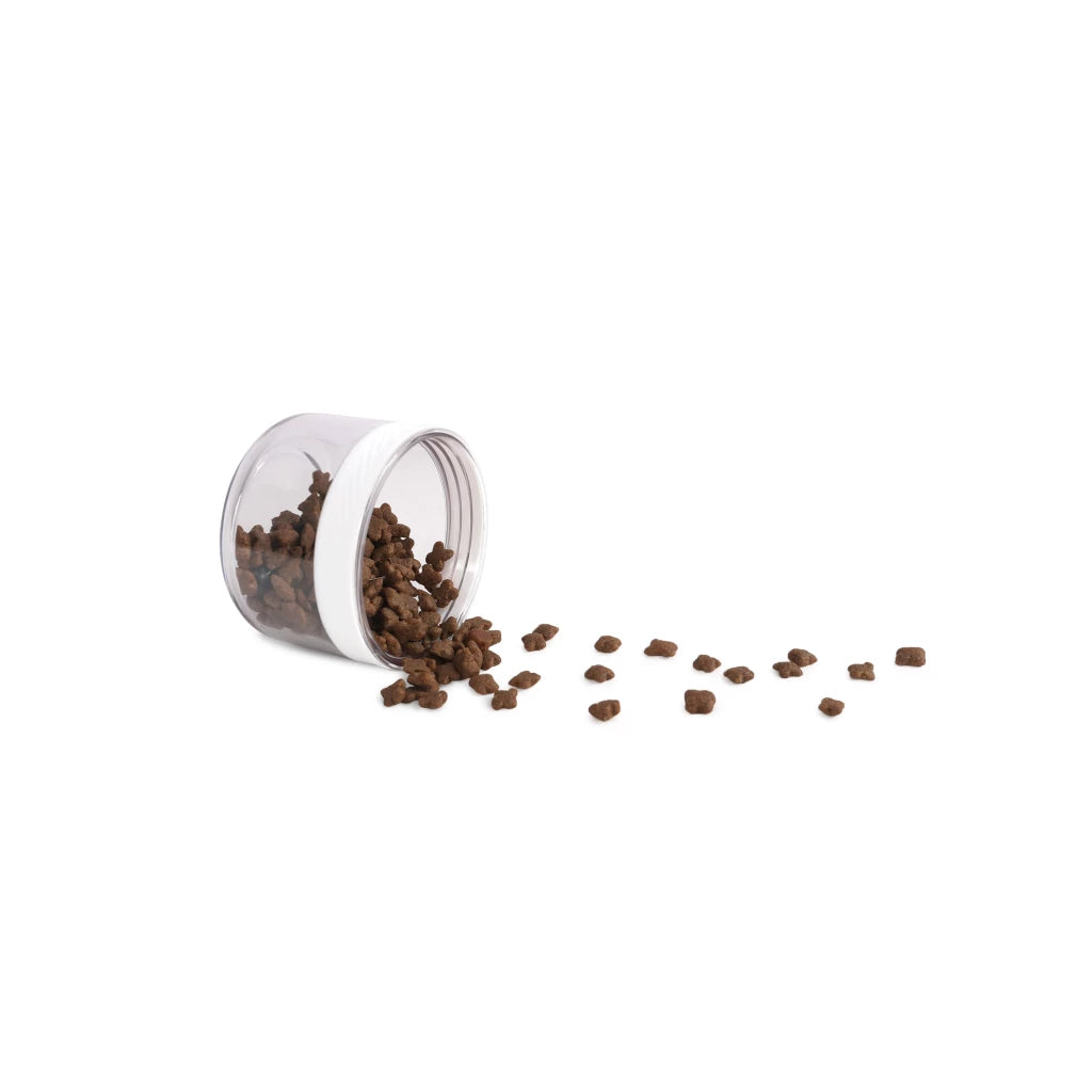 AFP 2 In 1 Edelstahl-Trinkflasche