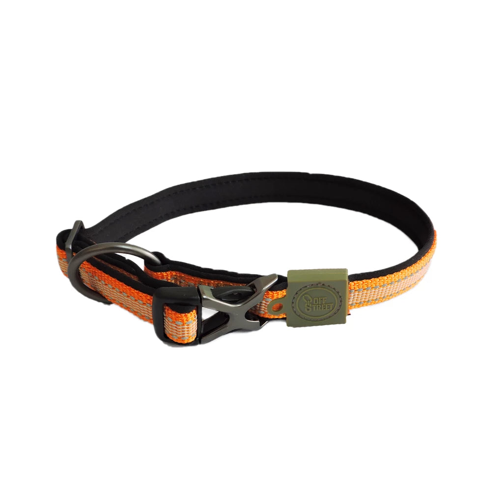 AFP Off Street - Hundehalsband