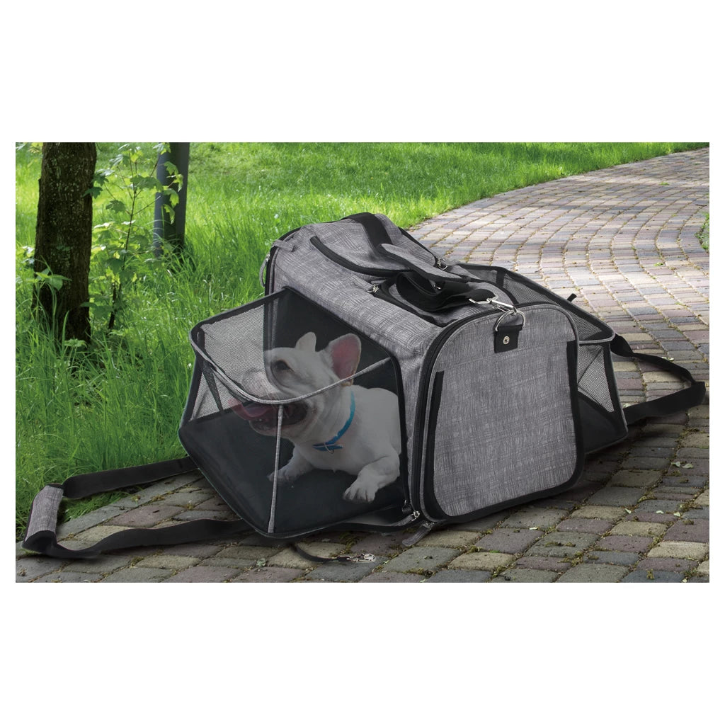 AFP-Reisehund - Rollender Tiertransporter