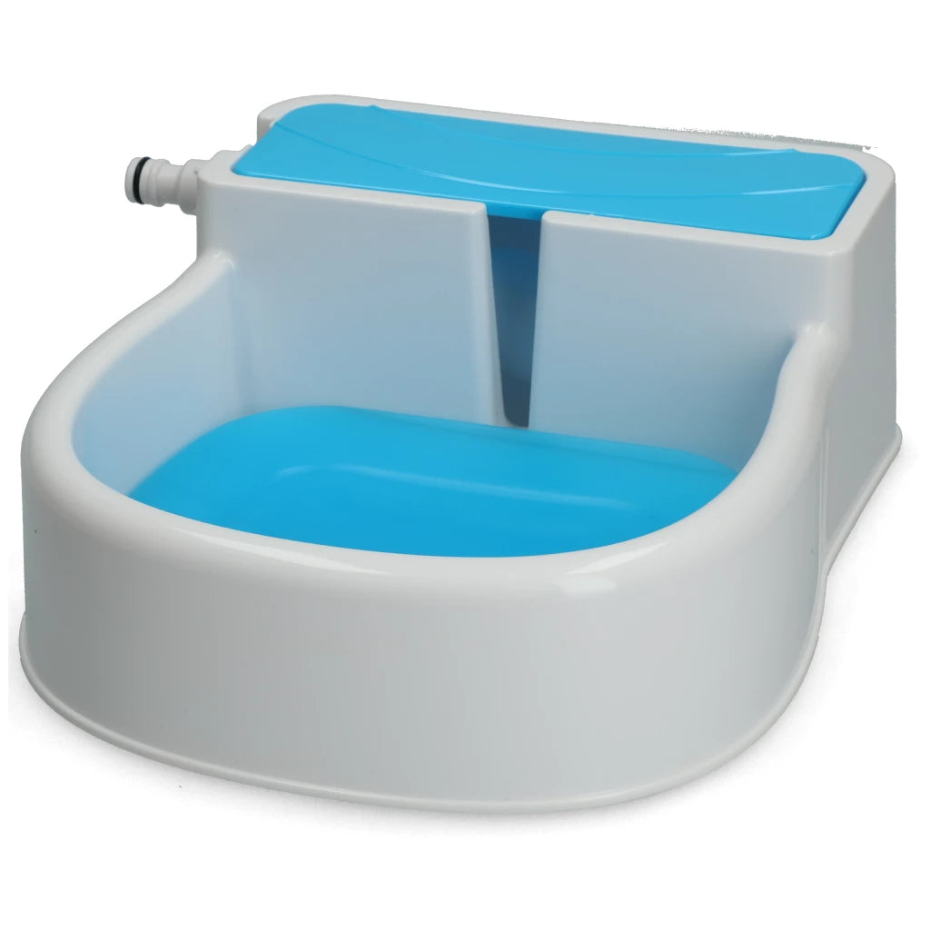 AFP Chill Out Brunnen