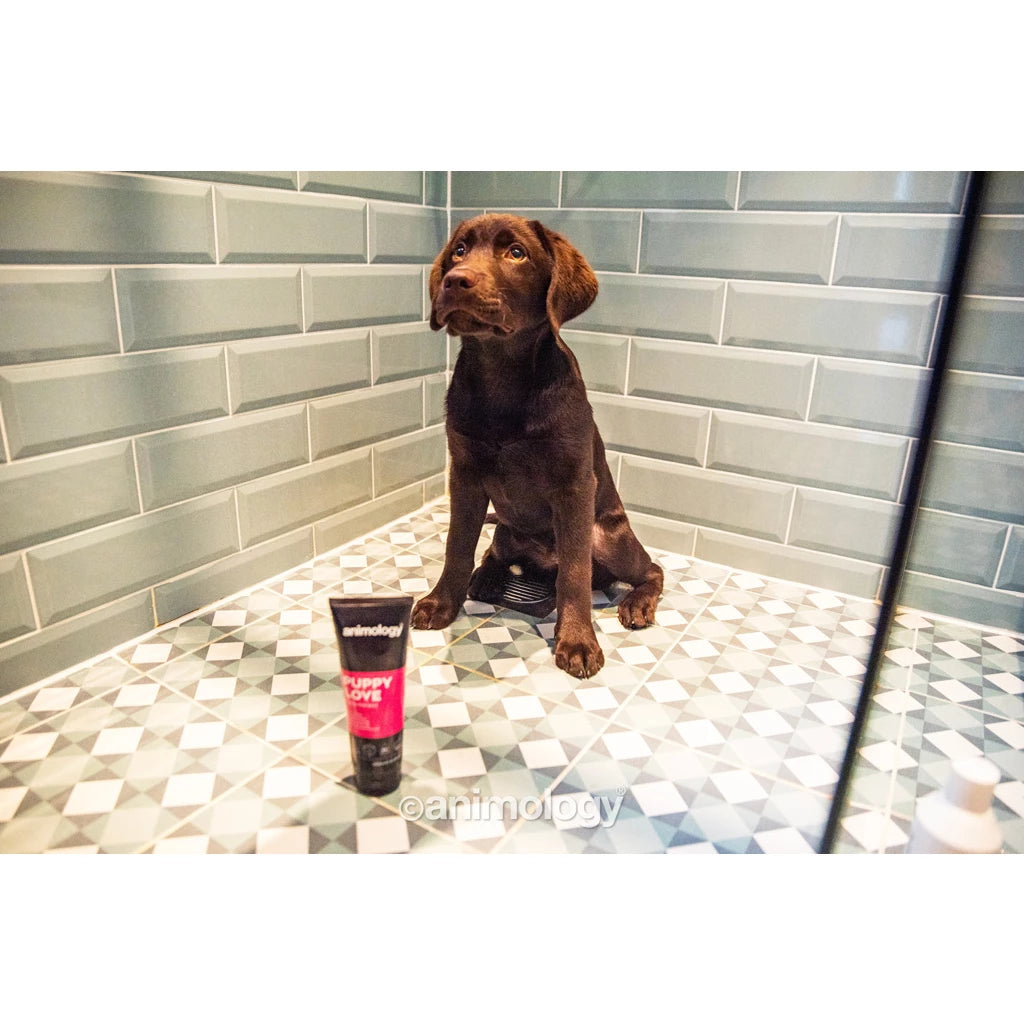 Animology Puppy Love Puppy Shampoo – 250 ml
