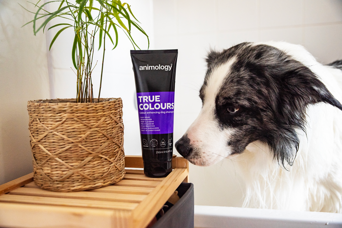 Animology True Colours Hundeshampoo