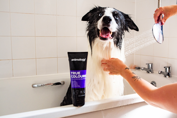 Animology True Colours Hundeshampoo