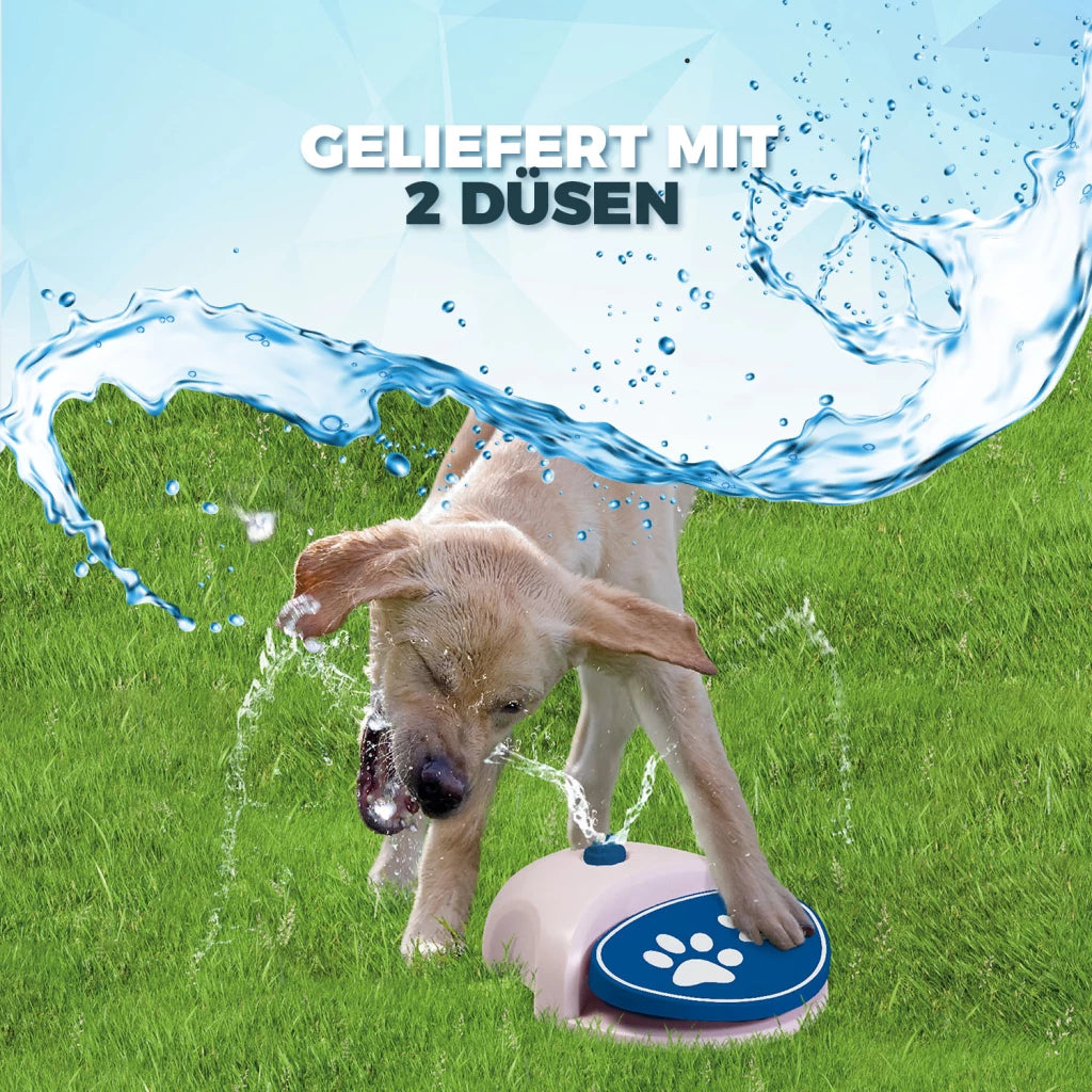 CoolPets Splash Wasserbrunnen
