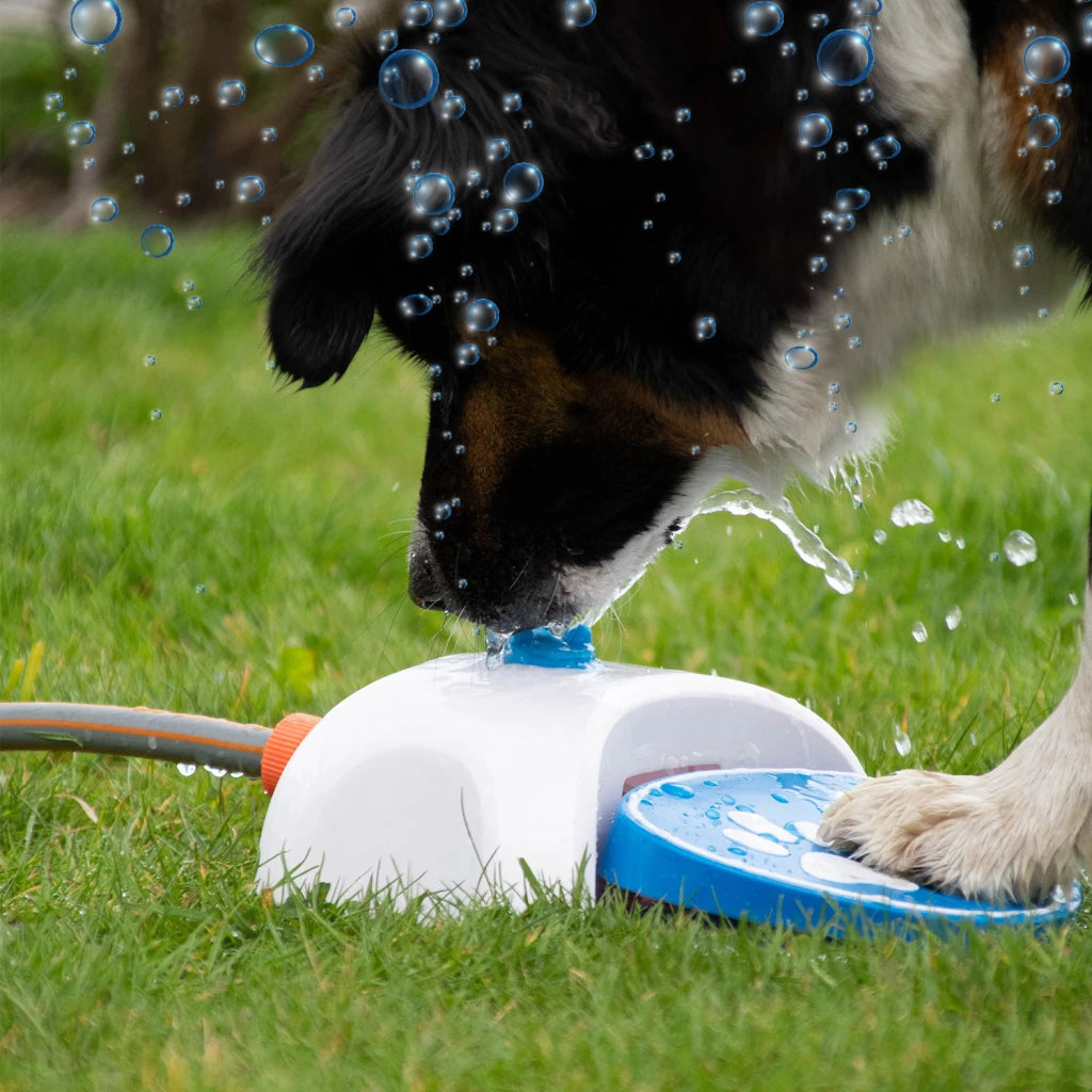 CoolPets Splash Wasserbrunnen
