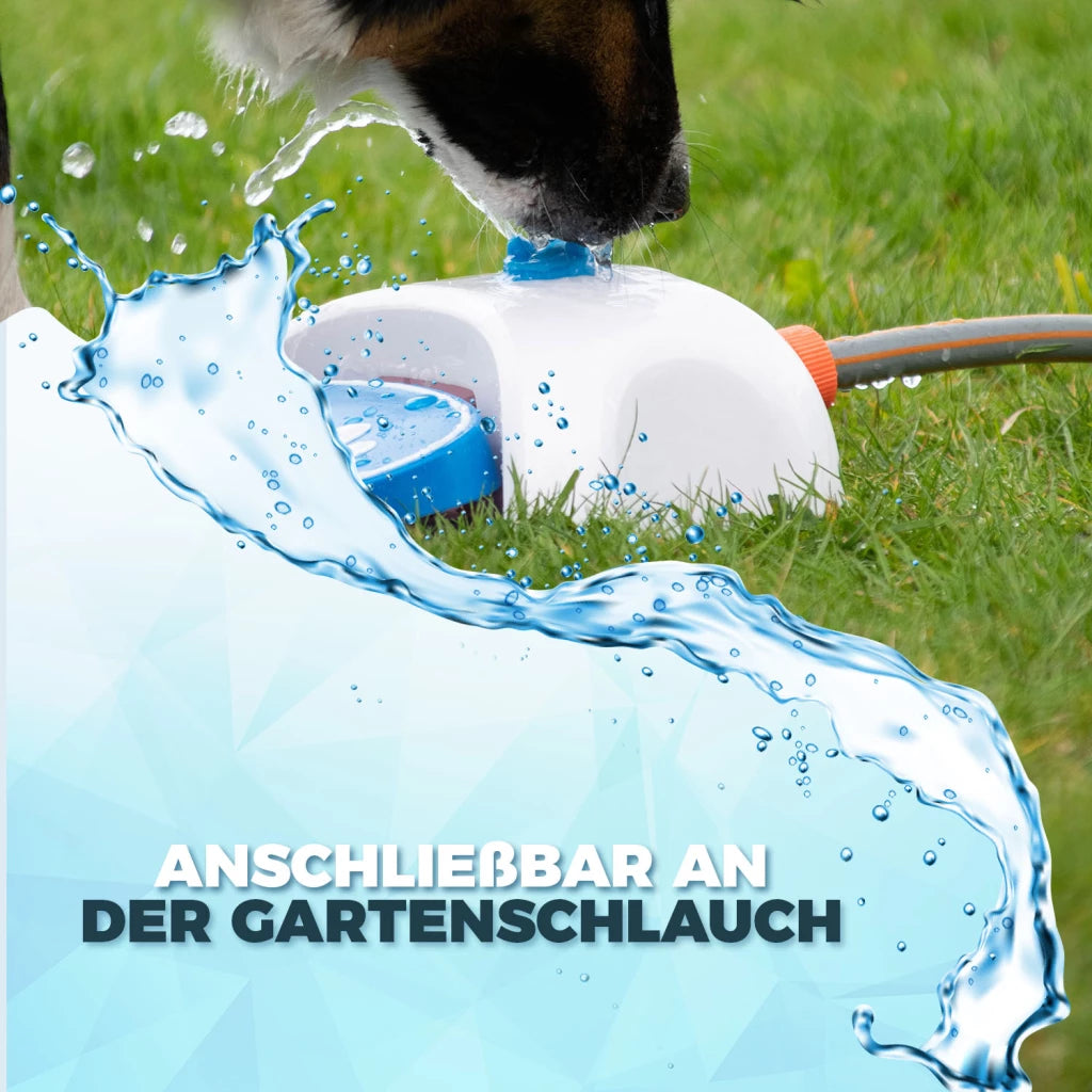 CoolPets Splash Wasserbrunnen