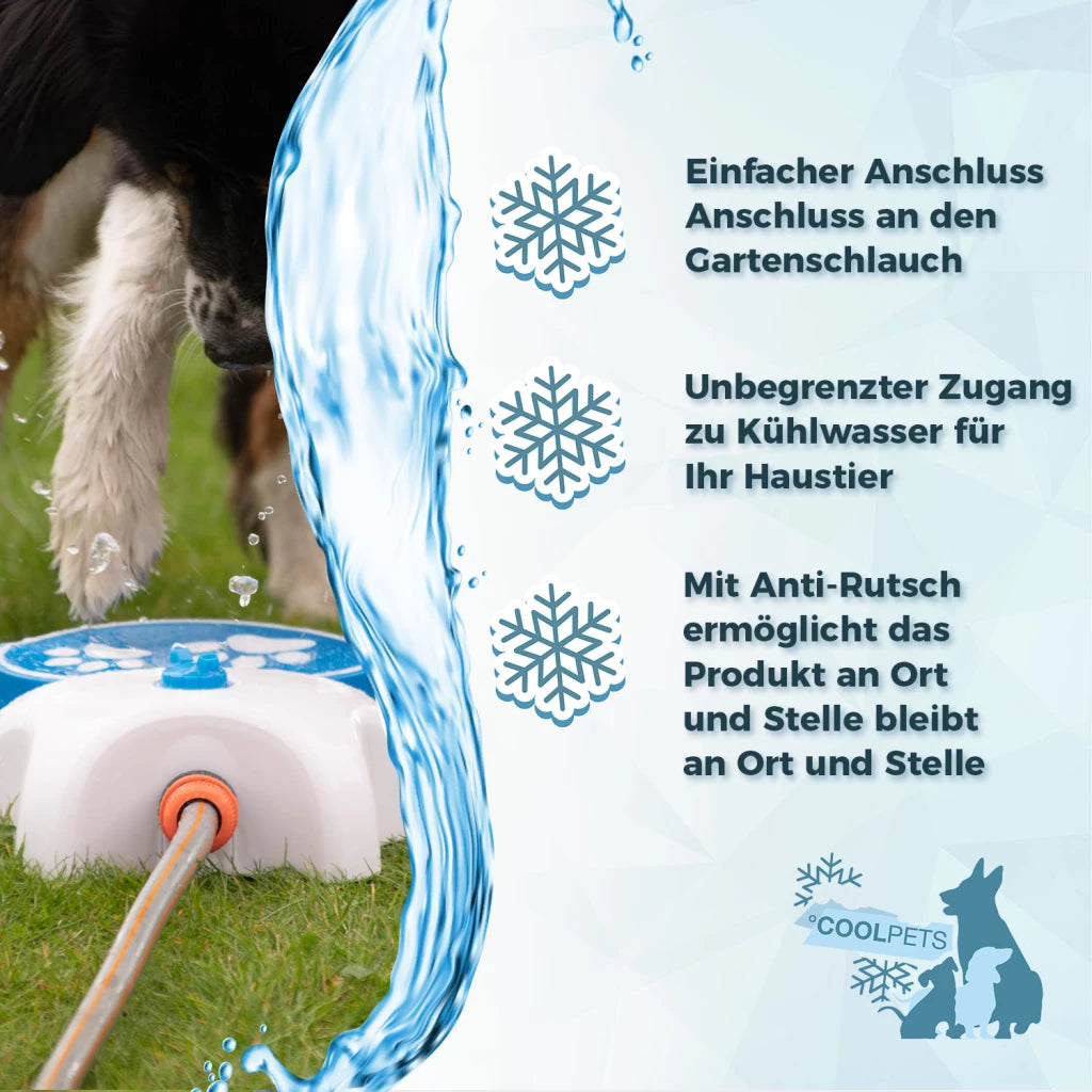 CoolPets Splash Wasserbrunnen
