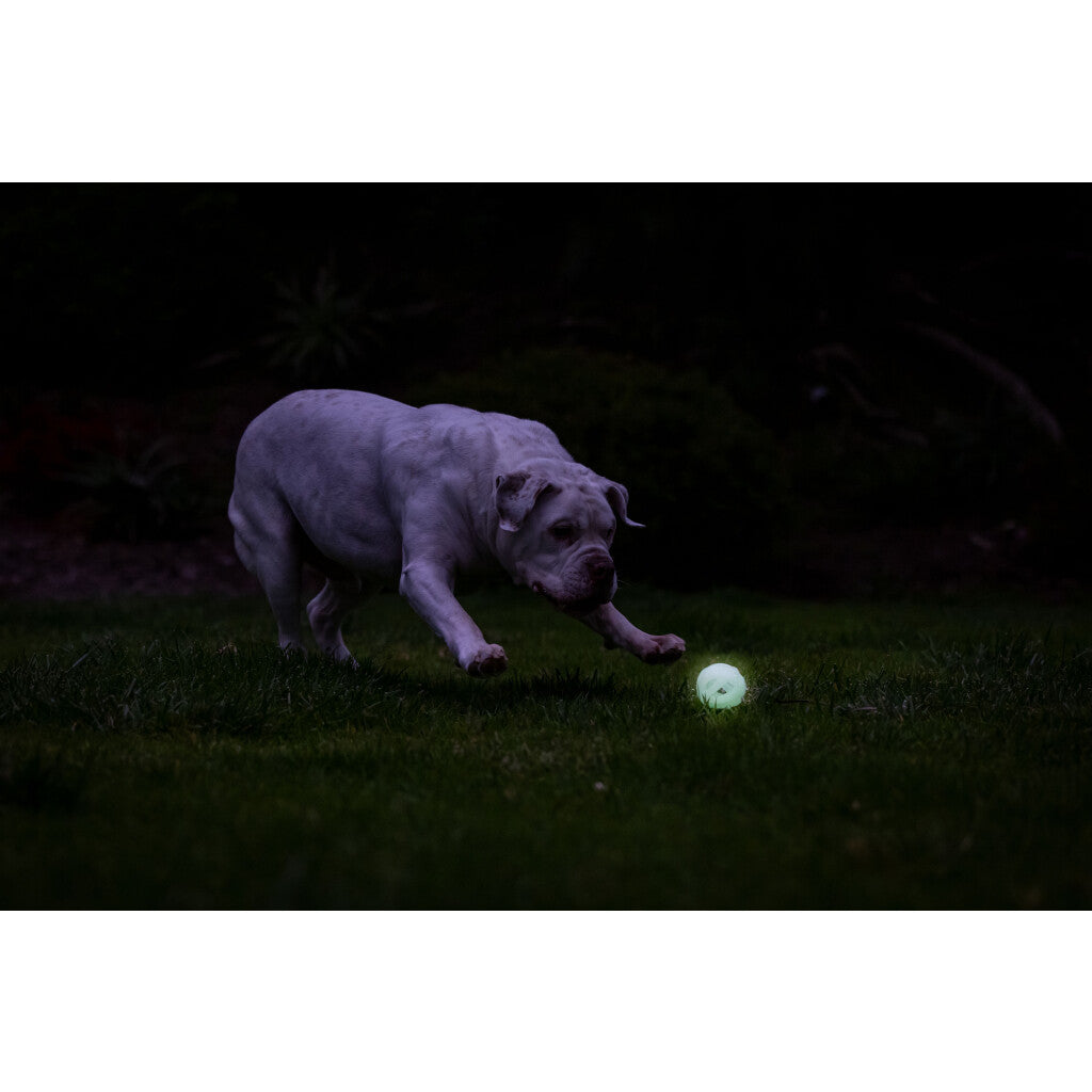 Chuckit! Air Glow Fetch Ball M