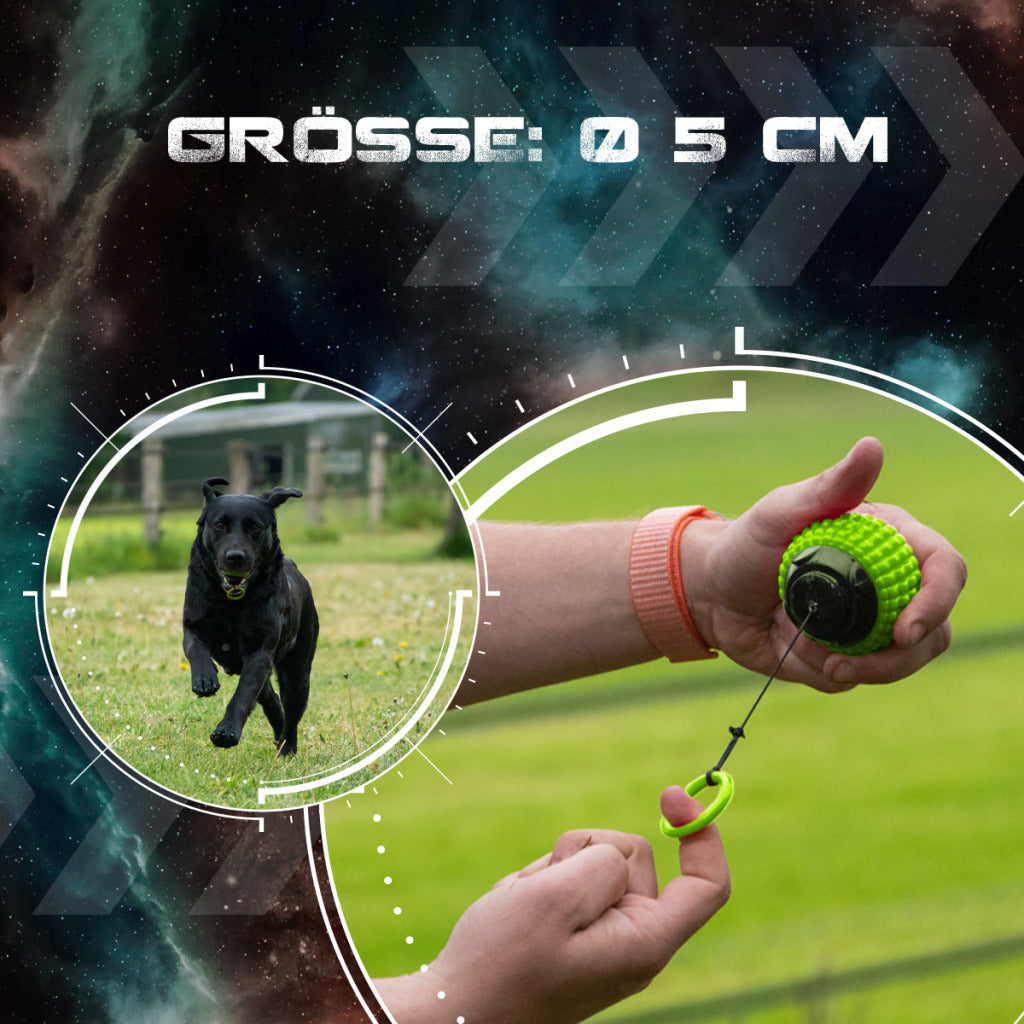 Dog Comets Blazar Jet