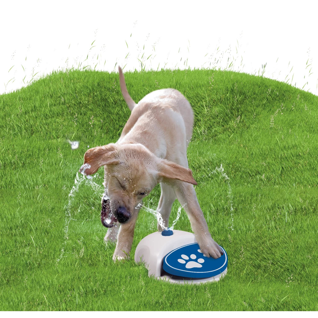 CoolPets Splash Wasserbrunnen