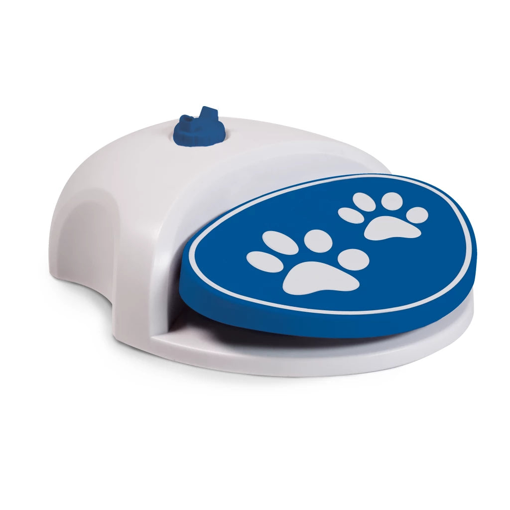 CoolPets Splash Wasserbrunnen