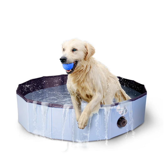 CoolPets Splash Hundepool