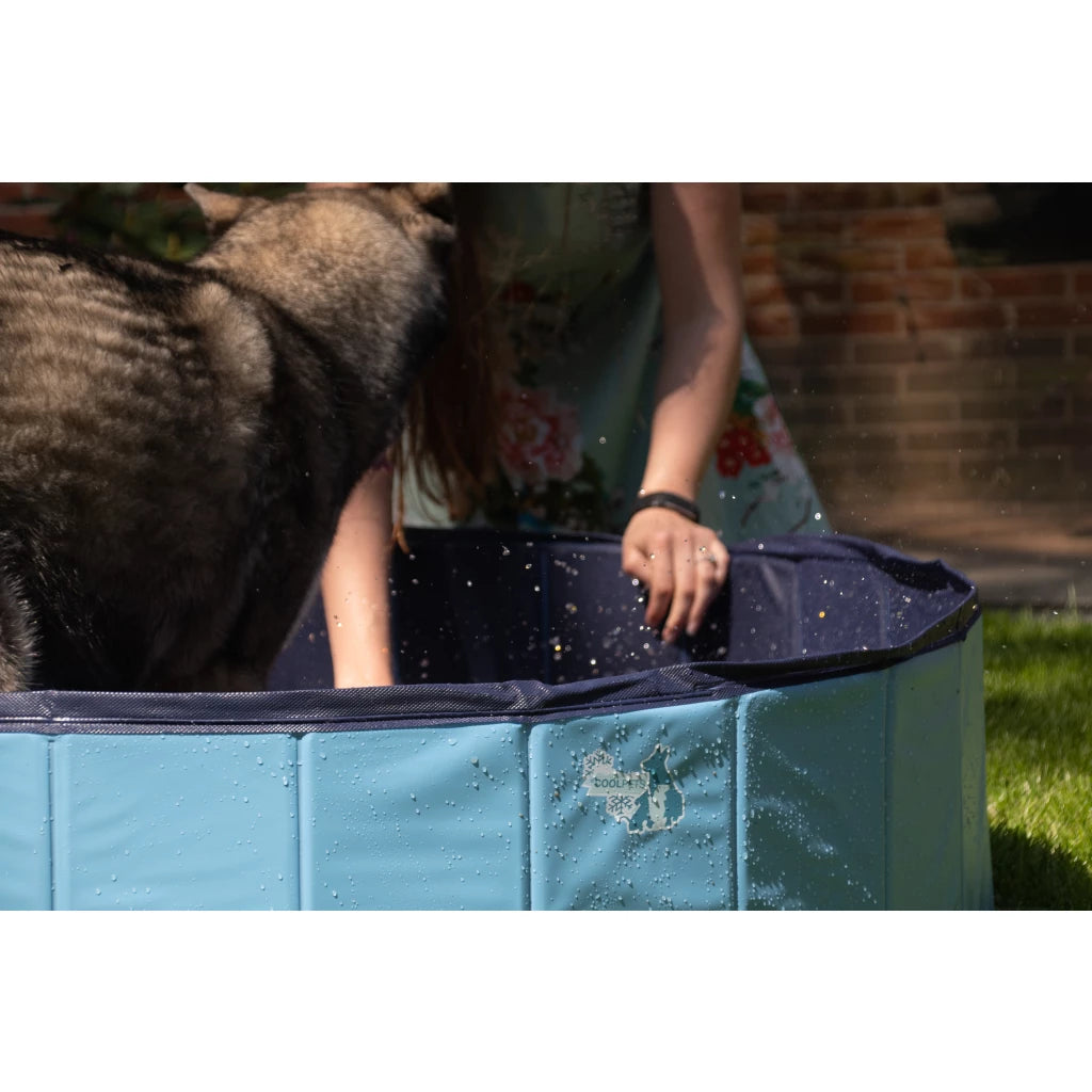 CoolPets Splash Hundepool