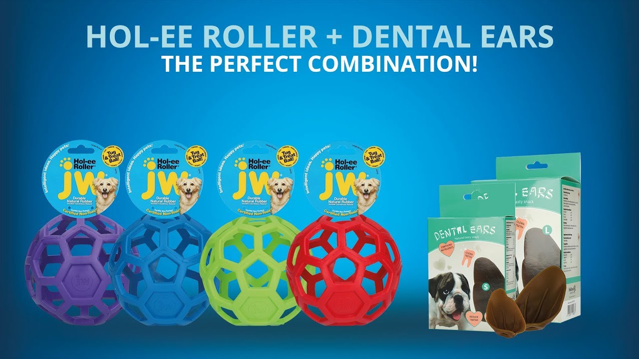 Dental Ears Small 48 St.