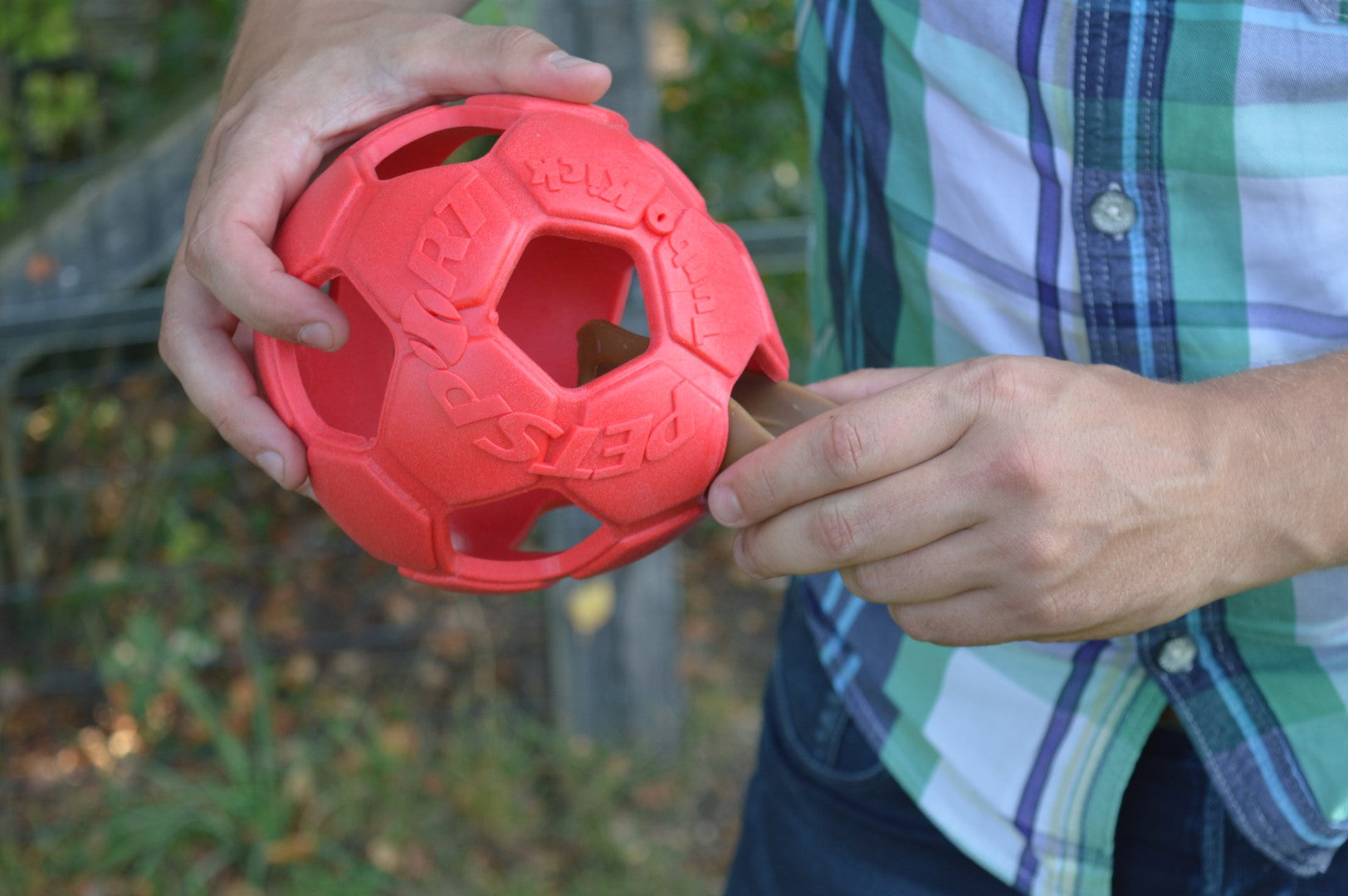 Dental Ears Small 12 St.