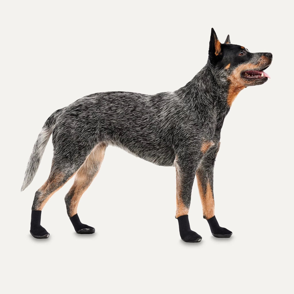 Goo-eez Hundeschuhe Ultras 2er Pack