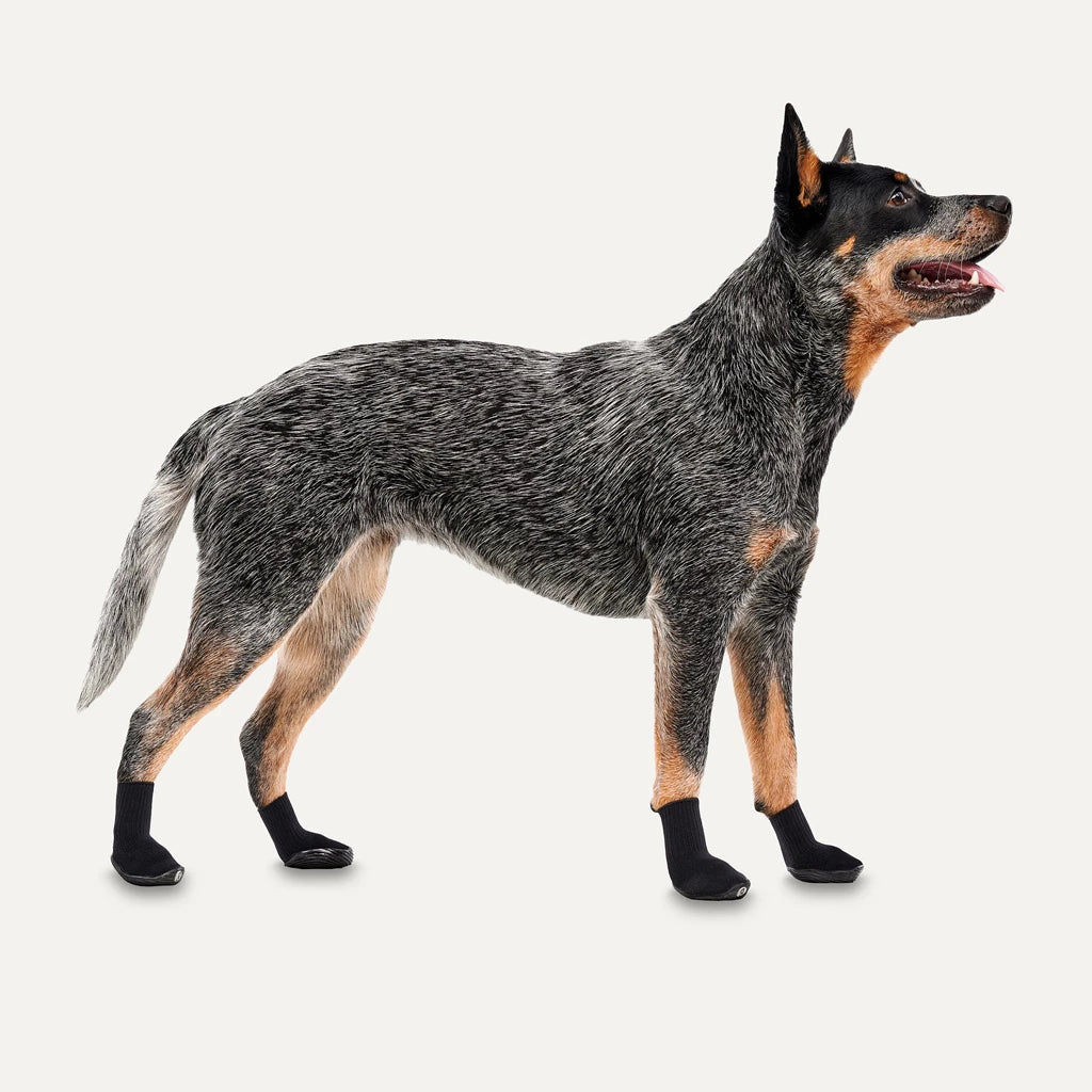 Goo-eez Lites Hundeschuhe – 4er Set