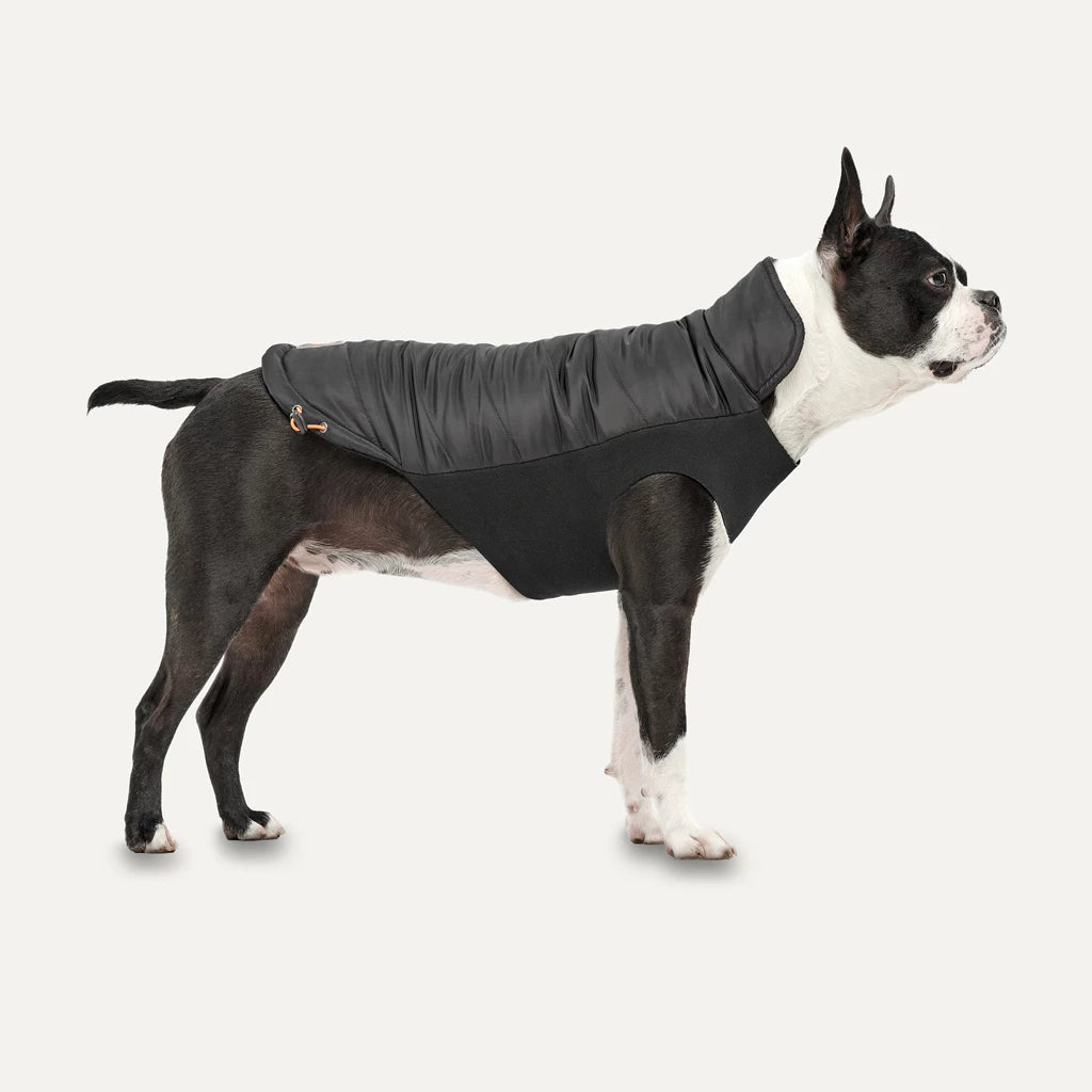 Goo-eez Hundemantel