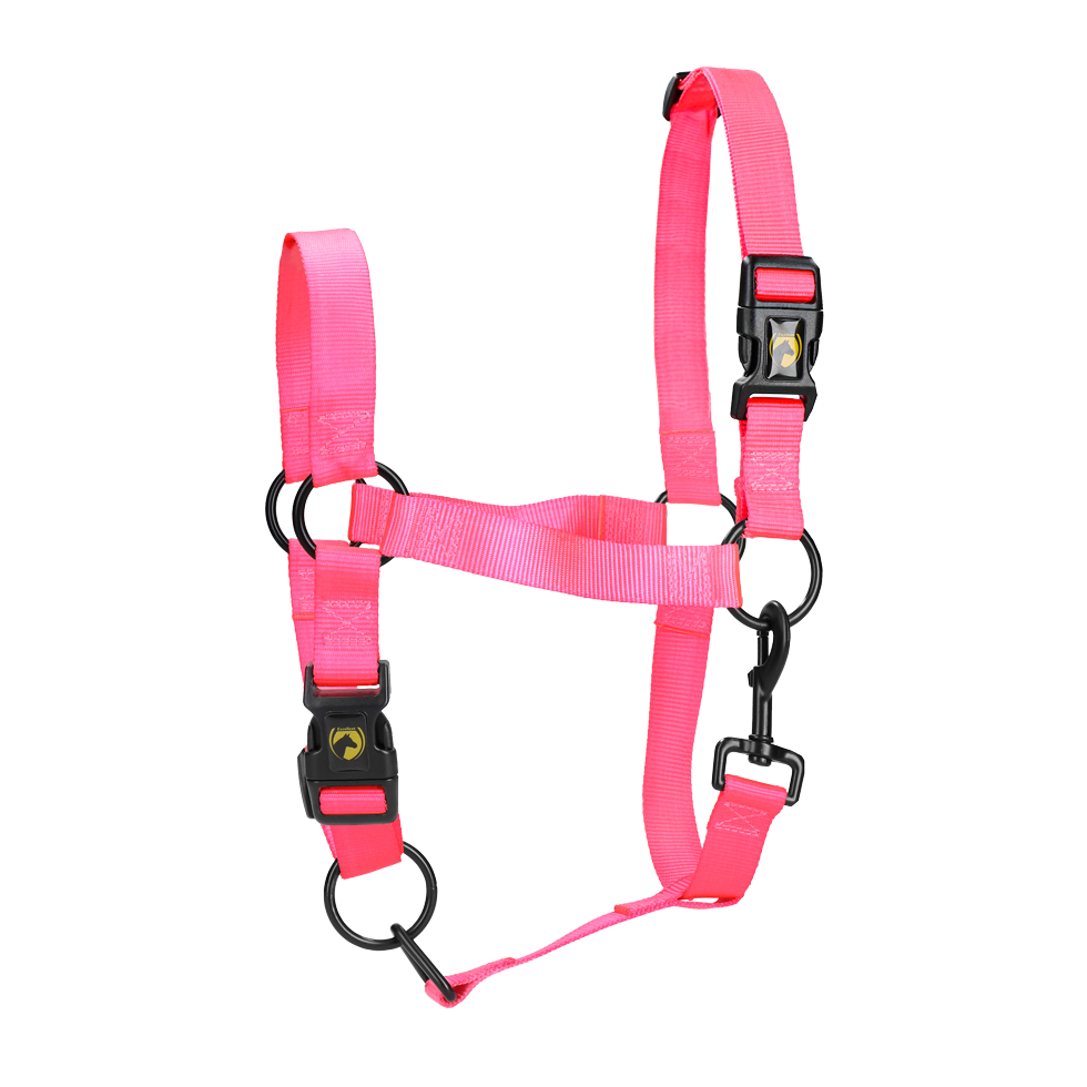 Excellent Essential Halfter Rosa XS
