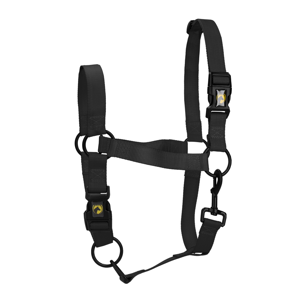 Excellent Essential Halfter Schwarz S