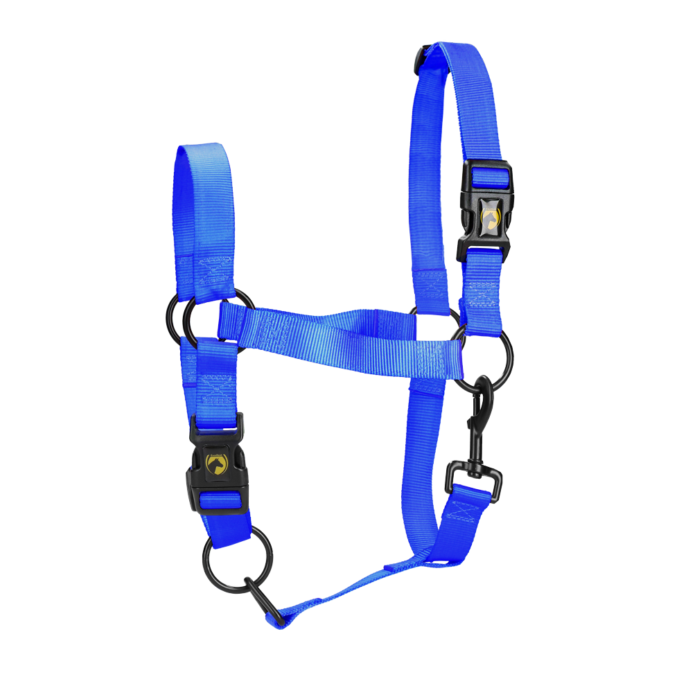 Excellent Essential Halfter Blau XL