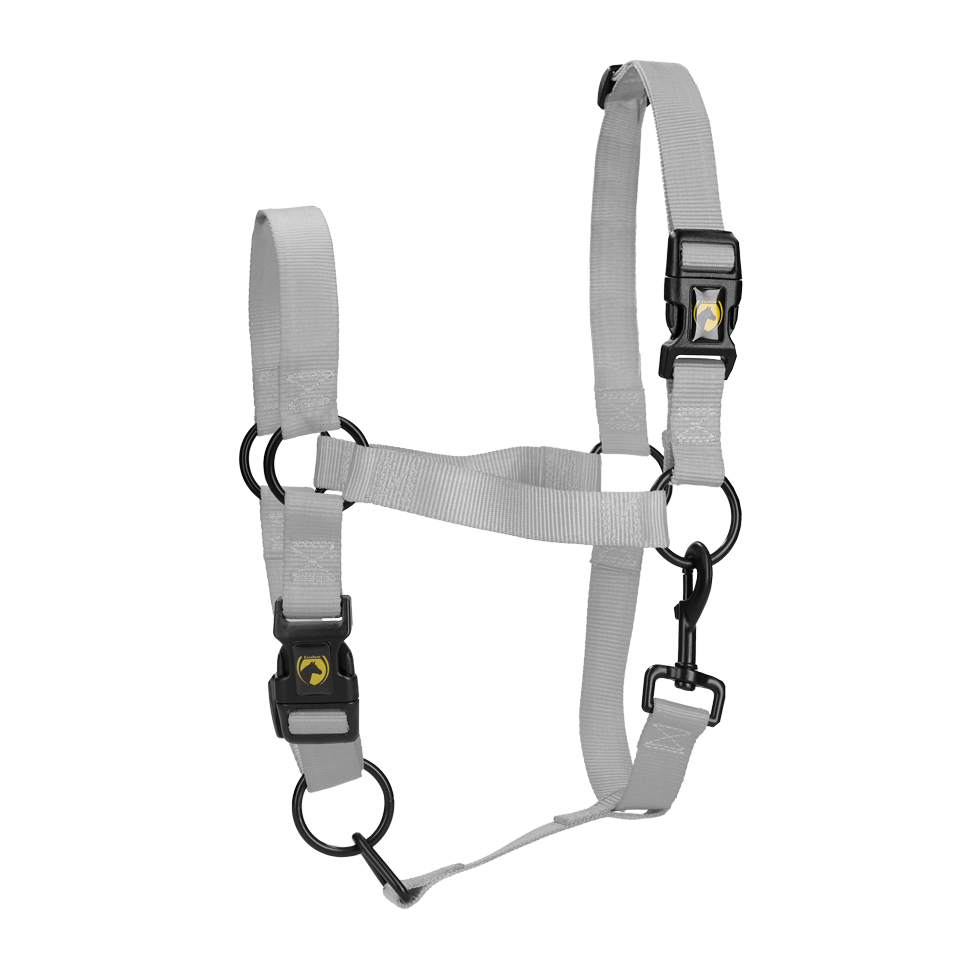 Excellent Essential Halfter Grau XL
