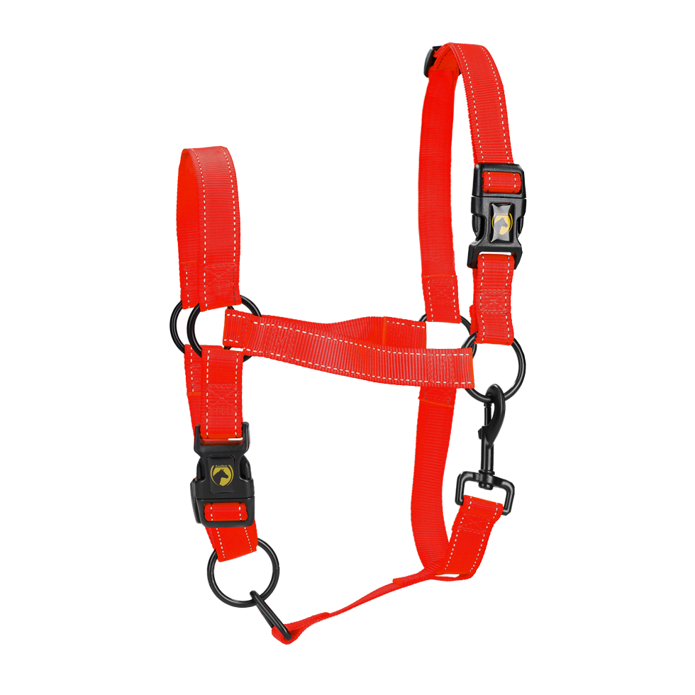 Excellent Premium Halfter Rot XS