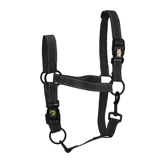 Excellent Premium Halfter Schwarz XS