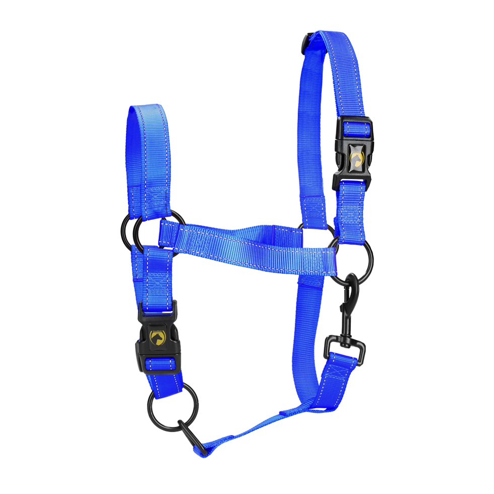 Excellent Premium Halfter Blau S