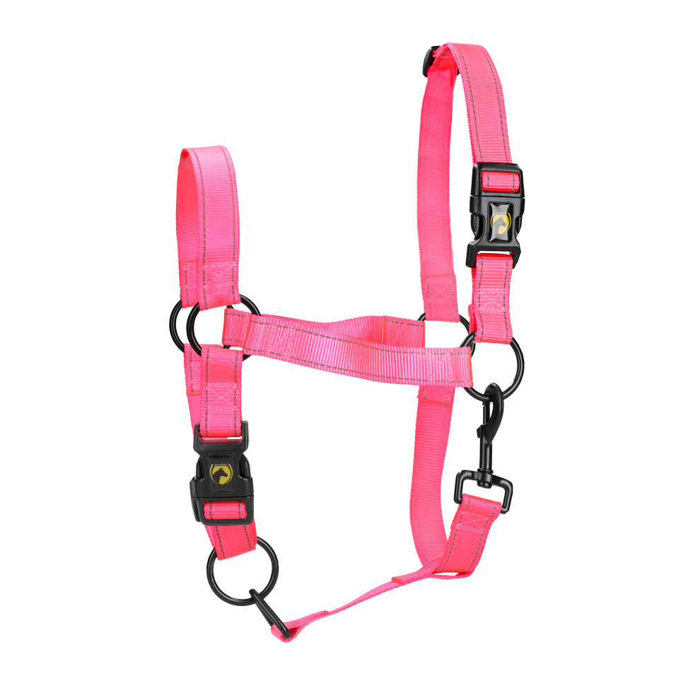 Excellent Premium Halfter Rosa S