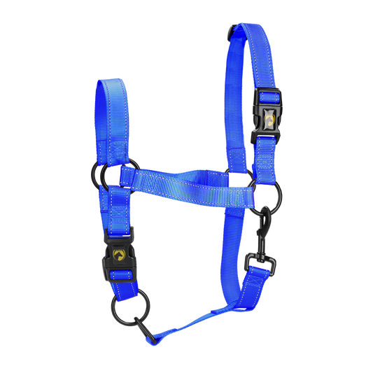 Excellent Premium Halfter Blau M