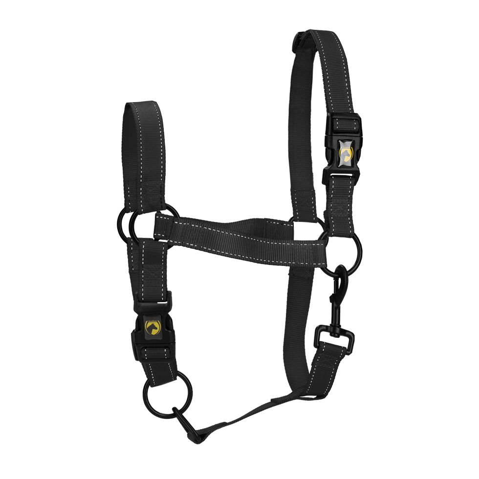 Excellent Premium Halfter Schwarz M