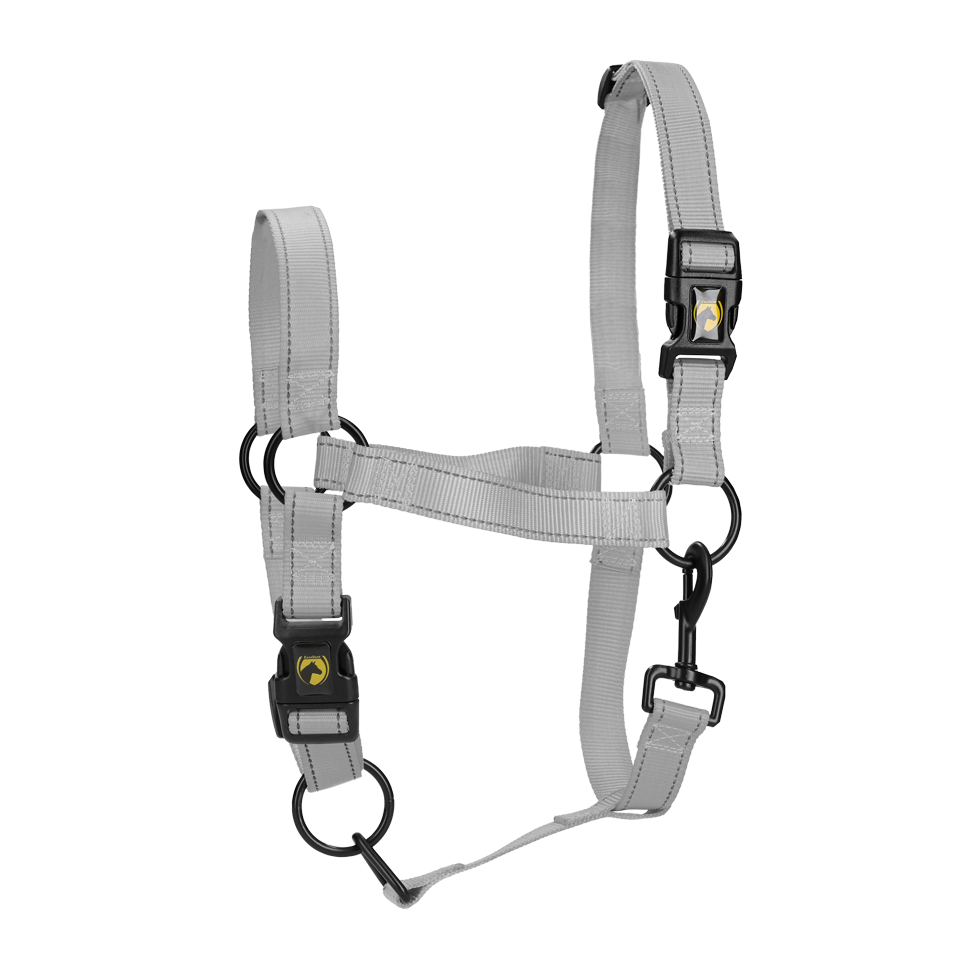 Excellent Premium Halfter Grau M