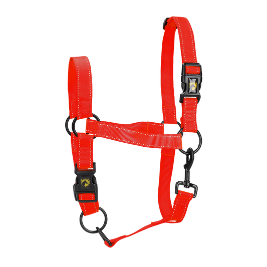 Excellent Premium Halfter Rot XL