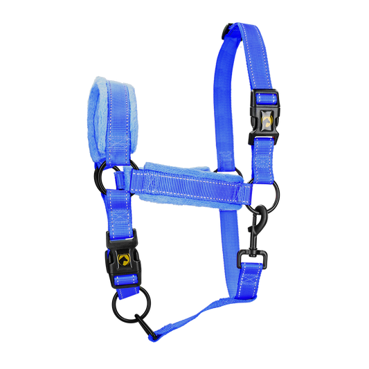 Excellent Superior Halfter Blau XS
