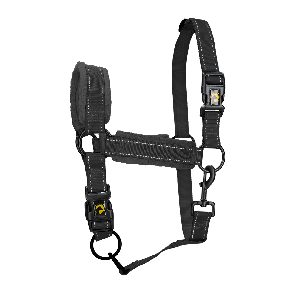 Excellent Superior Halfter Schwarz XS