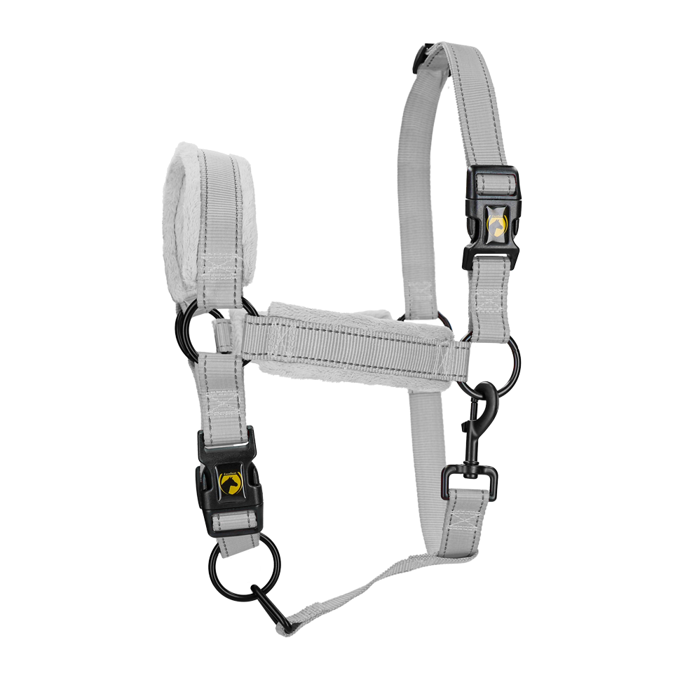 Excellent Superior Halfter Grau XS