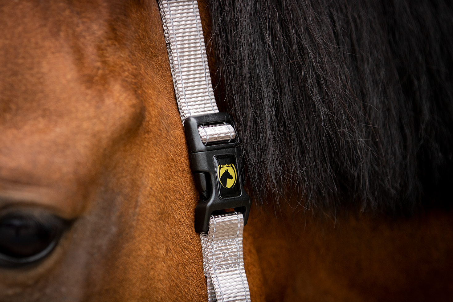 Excellent Superior Halfter Grau XS