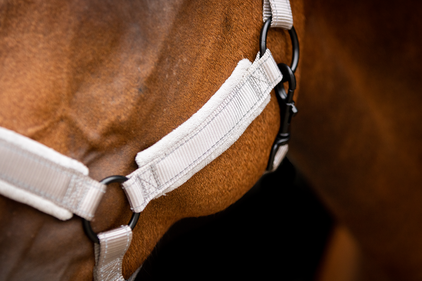 Excellent Superior Halfter Grau XS