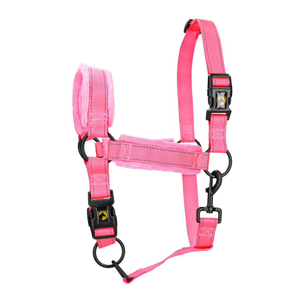 Excellent Superior Halfter Rosa XS
