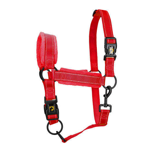 Excellent Superior Halfter Rot S