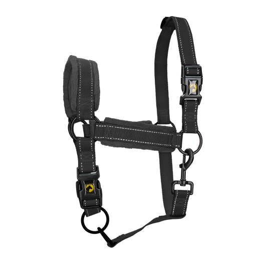 Excellent Superior Halfter Schwarz M