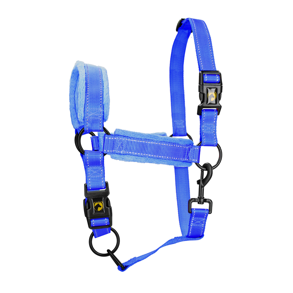 Excellent Superior Halfter Blau XL