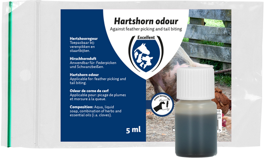 Excellent Hirschhorn Geruch