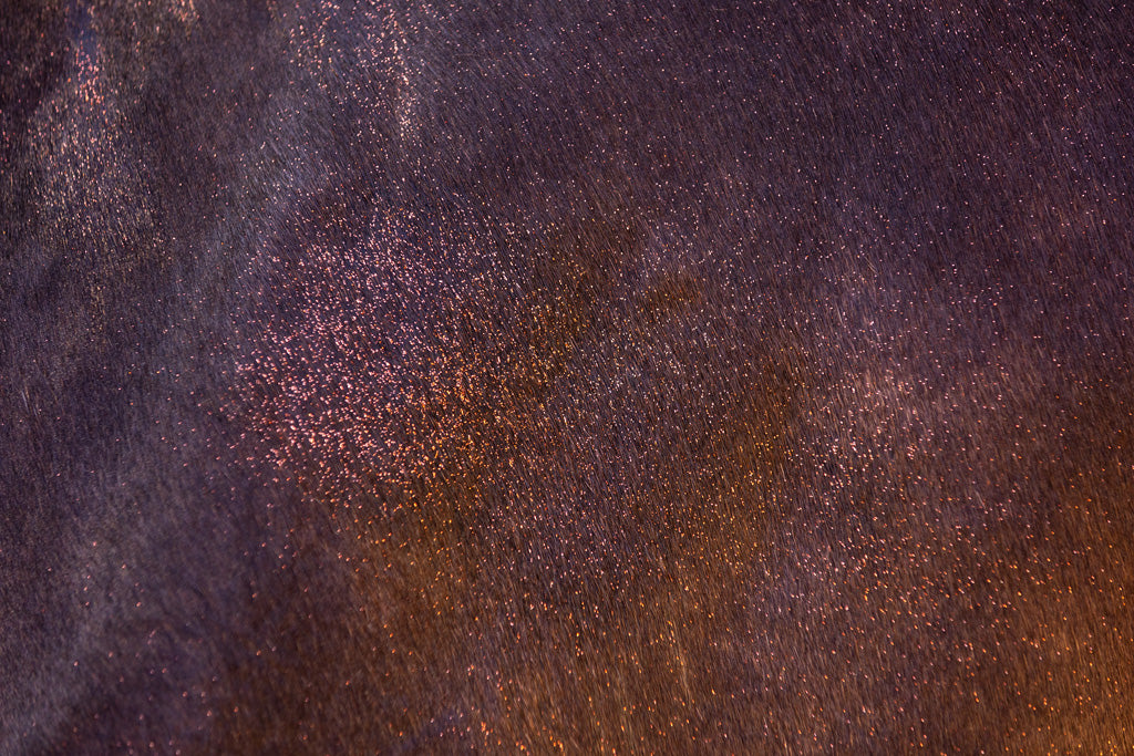 Excellent Horse Hi Gloss Glitter Spray Orange 250 ml