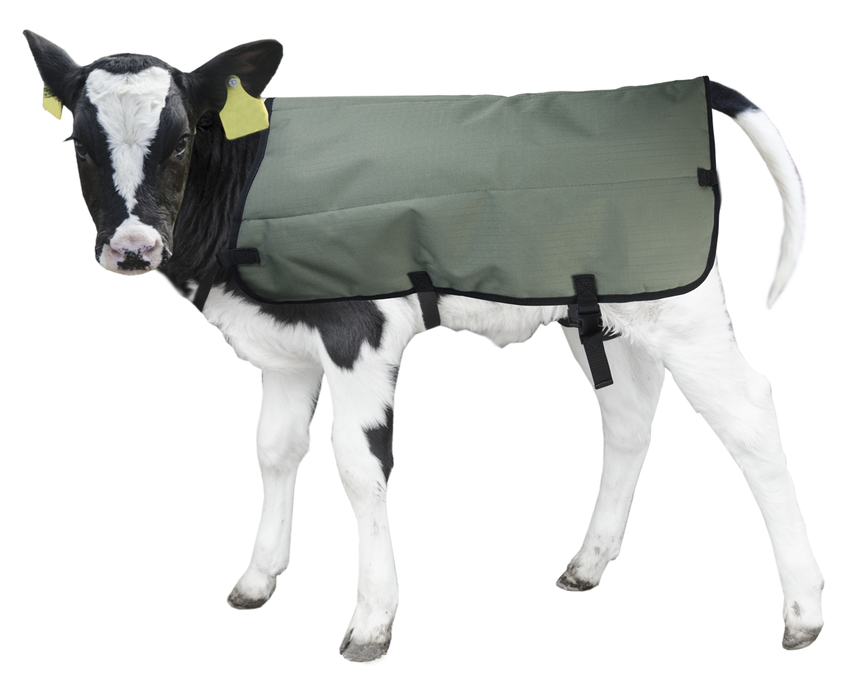 Calf Coat Kälberdecke 70 cm