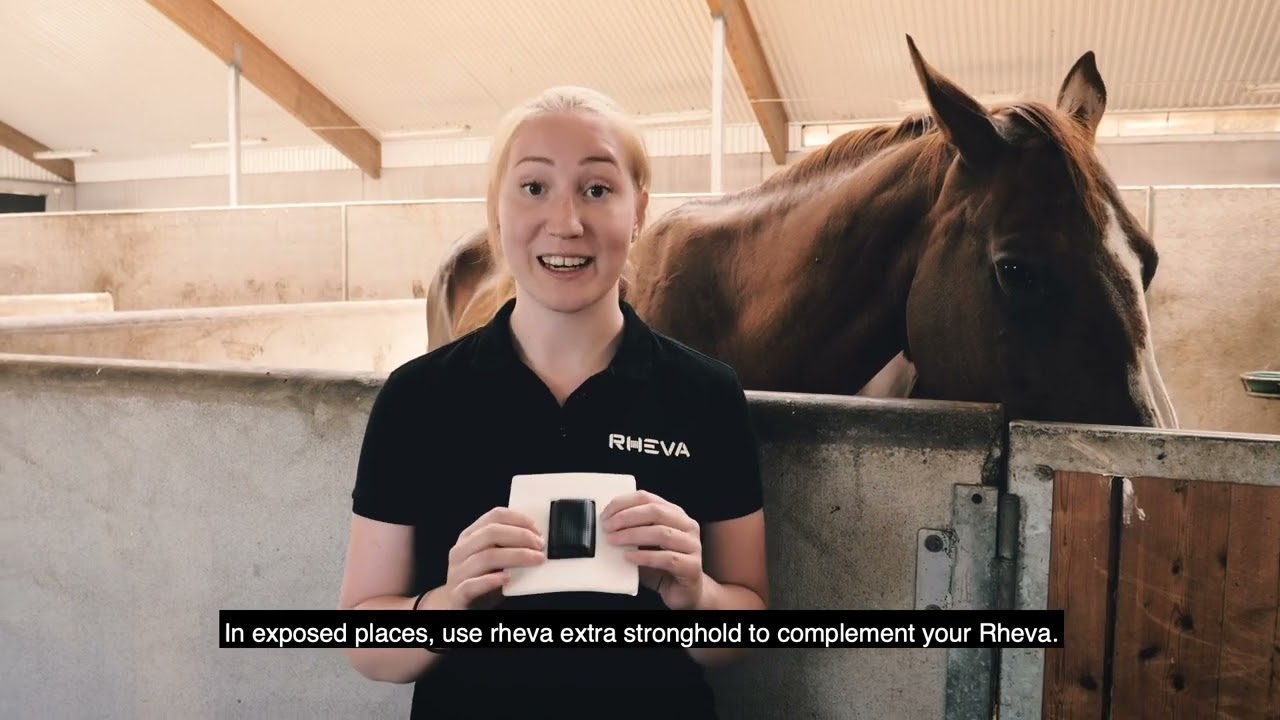 Rheva Extra Strong Combo Wundschutz